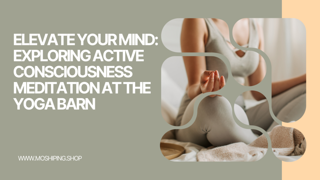 Elevate Your Mind: Exploring Active Consciousness Meditation at the Yoga Barn