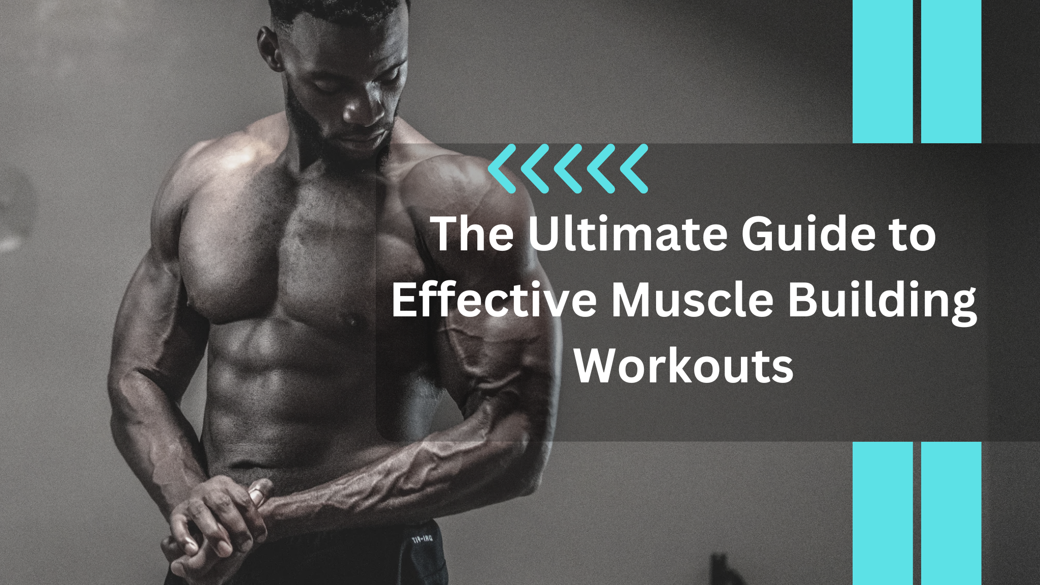 The Ultimate Guide To Effective Muscle Building Workouts
